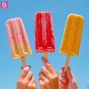 소나무다이어트