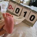 맘스드림산후조리원 이미지