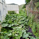 해숙농장 이미지