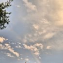 CU정동진모래시계점 이미지