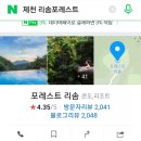 리리포레스트 이미지