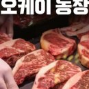 오케이농장 이미지