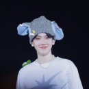 플랑(FLAN) 이미지