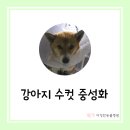 다정한 동물병원 이미지