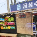 금성수산 네이버블로그