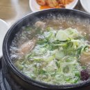 뽕나무상계탕 | [안산 맛집] 겨울에 생각나는 영양만점 뽕나무 삼계탕
