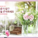 꽃보다의료기 이미지