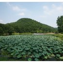 구암동266 이미지