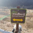 신상동 인공습지 이미지