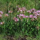 아름다운삶 이미지