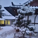 풍경힐링 | 홍천 '풍경' 펜션, 감성 폭발 힐링 스폿! 제 마음을 훔친 리얼 후기