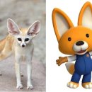 사막여우 이미지