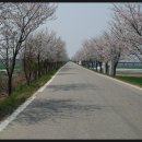용산천변길 네이버블로그