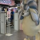 죽전 쿨펫동물병원 이미지