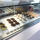 COFFEE끌림 | [대전 둔산동 카페] 고급진 디저트와 쾌적한 실내를 갖춘 ‘OI COFFEE’ 내돈내산 후기