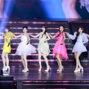 미스미스터투어