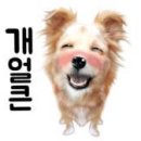 SK브로드밴드 아이유쉘 3차 특판 행사중~~!!!!! 이미지
