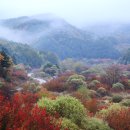 비밀의 정원 이미지