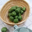 자연마중