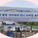 계곡캠핑펜션 이미지