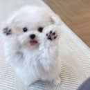 촌놈 이미지