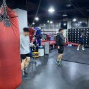 안양권투체육관 이미지