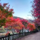 오대산휴게소 이미지