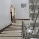 금천사료 이미지