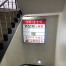 노원/창동 힙한 수제 피자 맛집! 트리플세븐 바 in 보스턴피자 후기