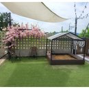 히든풀빌라 이미지