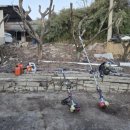 나무마당 이미지