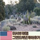 그랜드캐년 위치 당일투어 요한투어 1박2일 보다 추천