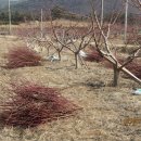 정근농장 이미지