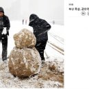 부산식