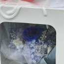 화원관광지 | 춘천 꽃집 | [봄내화원] 전국 꽃 배달, 우두동 꽃집, 춘천 스카이워크 주변 꽃집