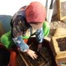 학림섬정보화마을 이미지