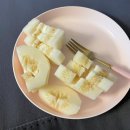 임신20주 : 일상, 정밀초음파, 가족모임, 달성공원, 대구동물원