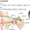 이어폰의 원리가 되는 공기전도와 골전도의 차이 이미지