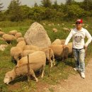 전나무목장 이미지