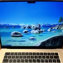 백삼한의원 | ✨ 방판 카운셀러 짱이 | 3월의 일상