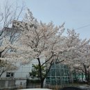 성서국민체육센터 앞 이미지