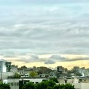 머리재빌딩 이미지