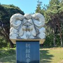 일직손씨 손홍주 입향조 선영-대구 동구 도동 산167-1 이미지