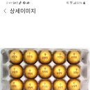 부활절 달걀 전도!!! 이미지