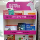 메디팜꿀벌약국 이미지