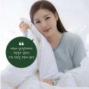 백송라벨 | 왓츠인 마이백 송가인 클래식패브릭 구스이불 사계절 이불 추천