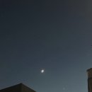 신전떡볶이외도점