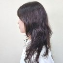 봄날의 댕댕이 이미지