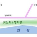 코스모스가 하늘을 수놓습니다..구리고수부지 이미지