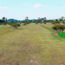 병성천2길 이미지